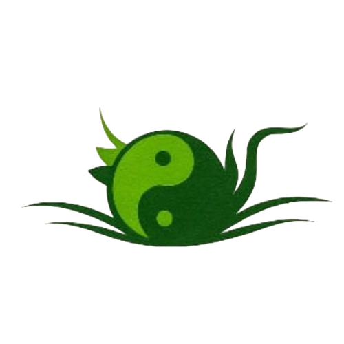 Acupuntura Shaoyin  1  removebg preview